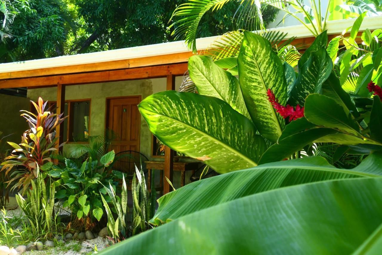 Cabinas Playa Surf Hostel Playa Santa Teresa  Extérieur photo