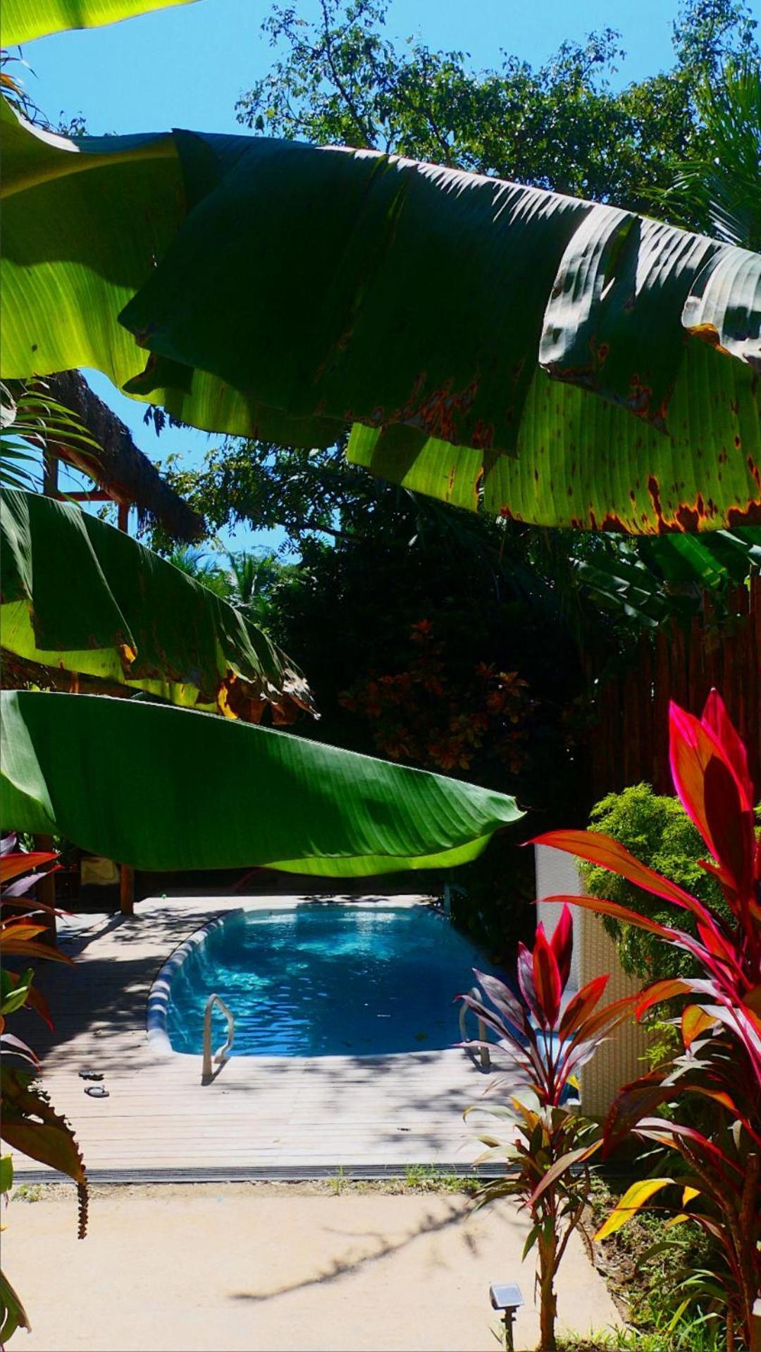 Cabinas Playa Surf Hostel Playa Santa Teresa  Extérieur photo