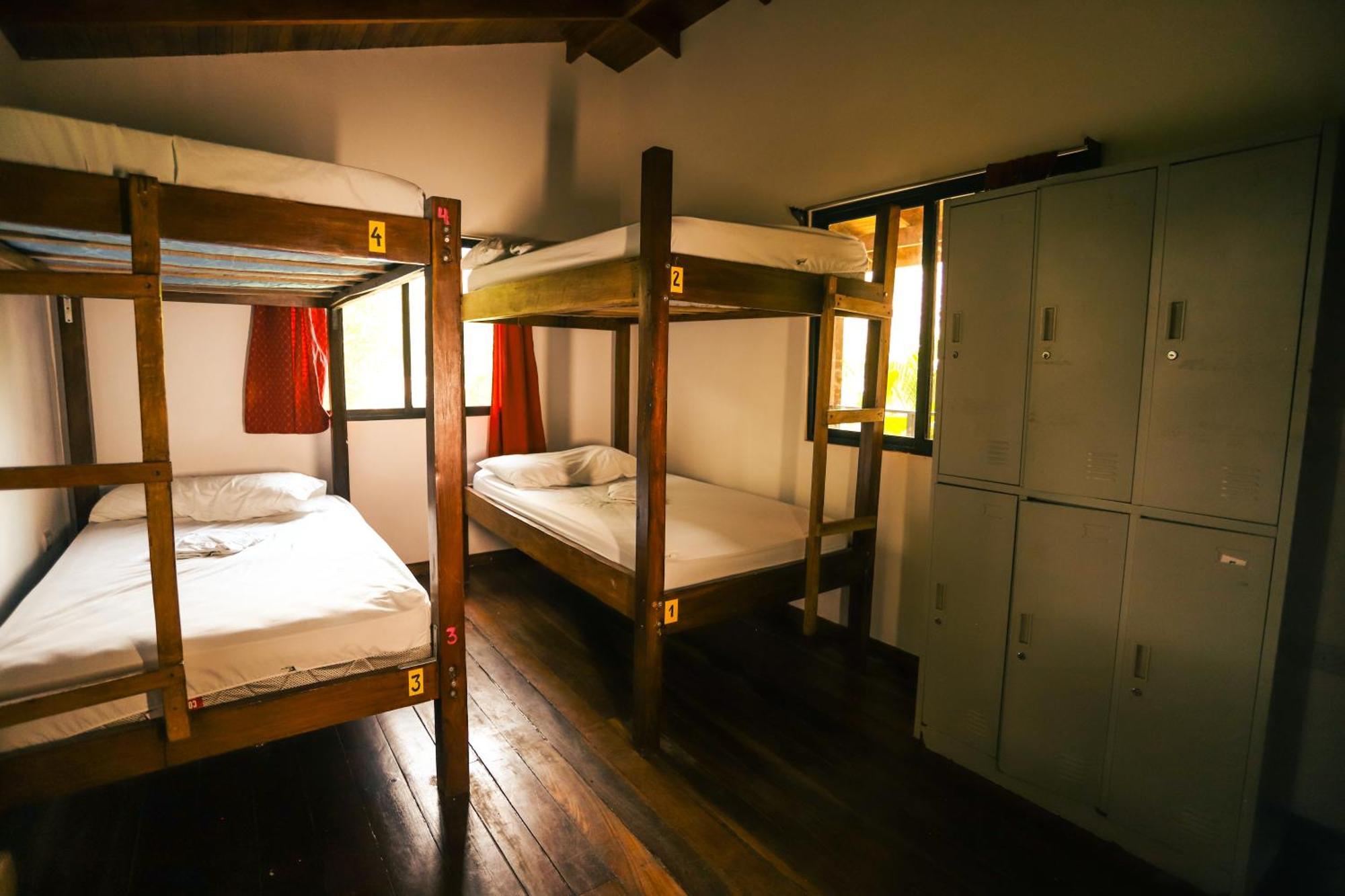 Cabinas Playa Surf Hostel Playa Santa Teresa  Extérieur photo