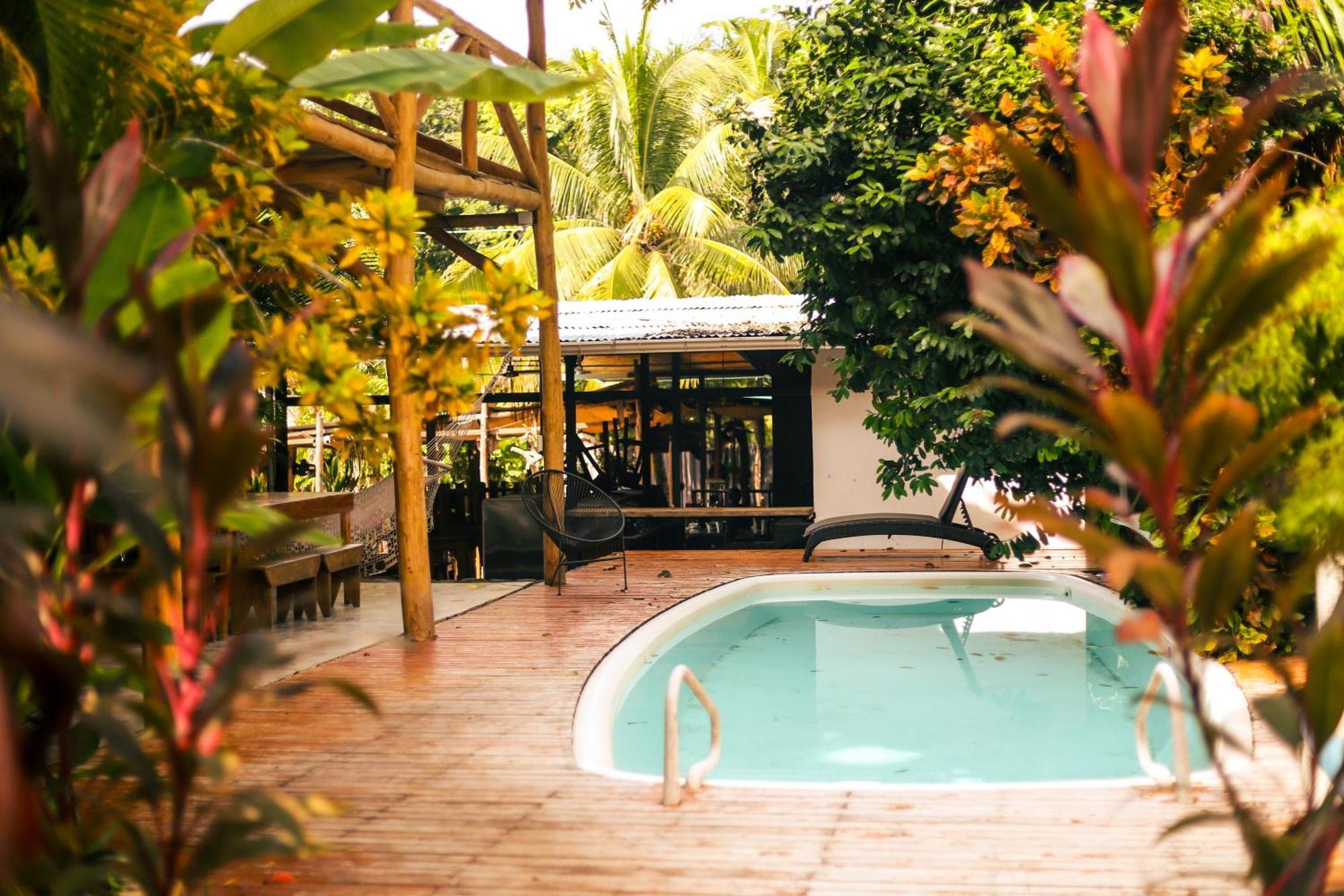 Cabinas Playa Surf Hostel Playa Santa Teresa  Extérieur photo