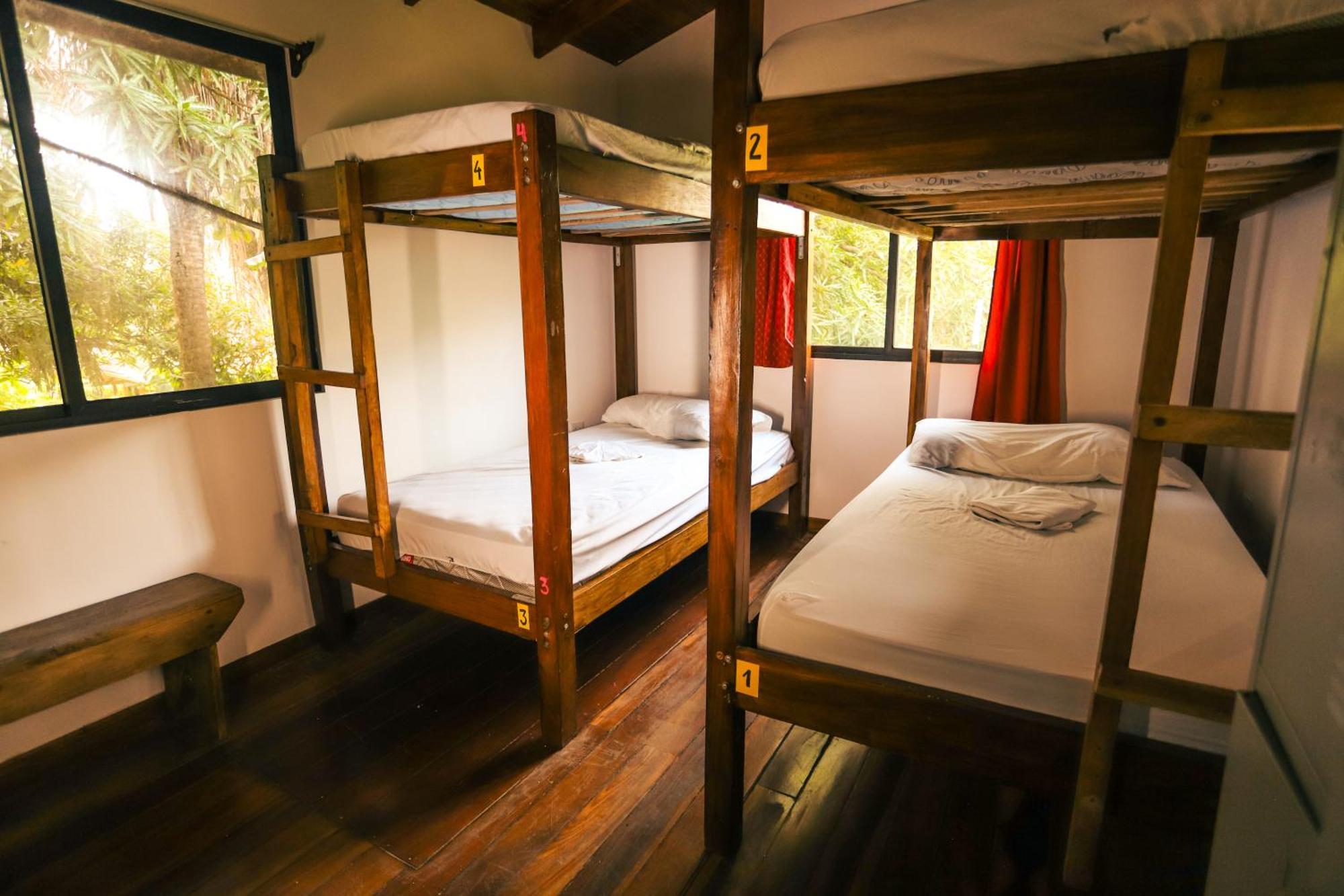Cabinas Playa Surf Hostel Playa Santa Teresa  Extérieur photo