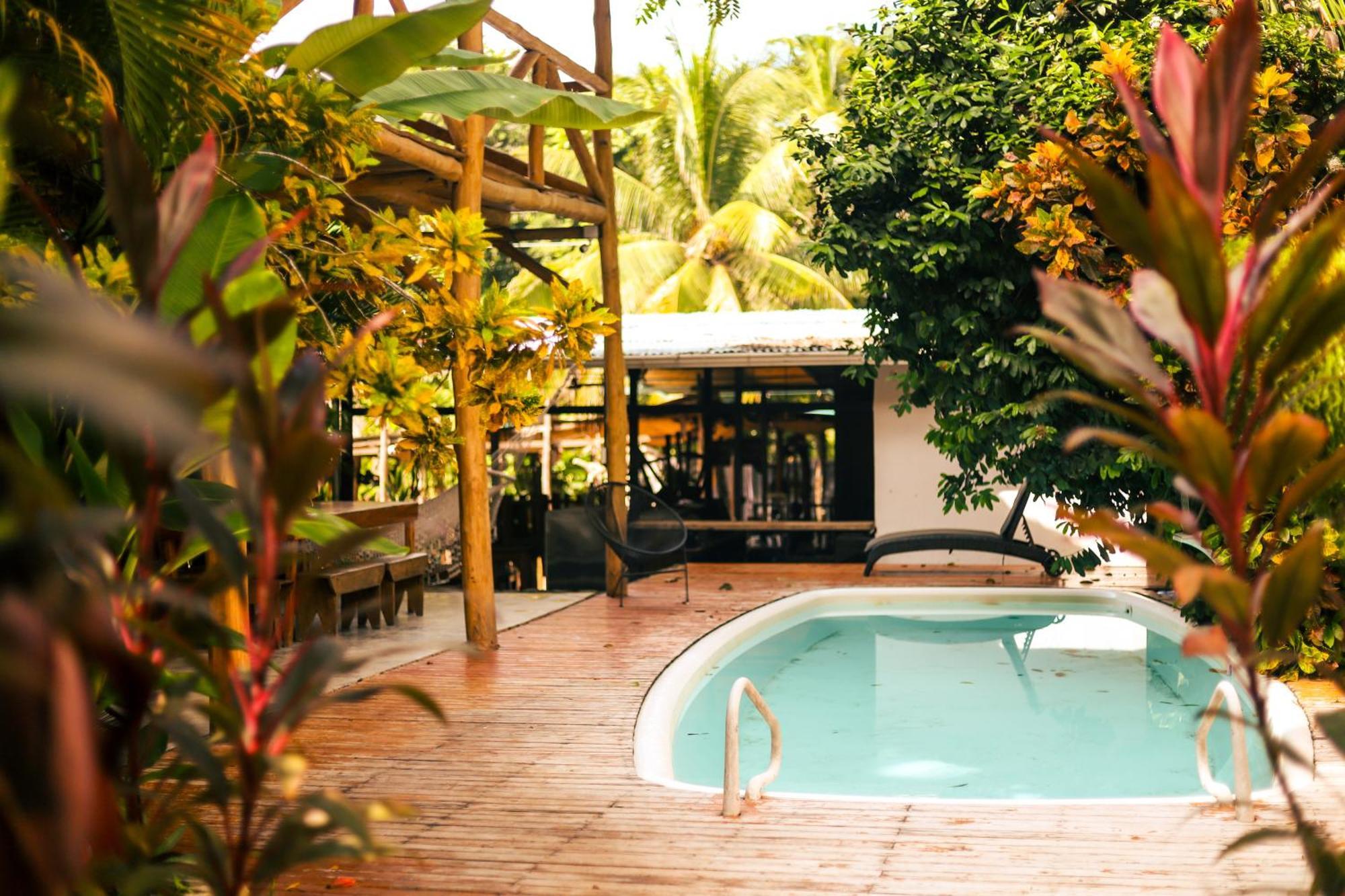 Cabinas Playa Surf Hostel Playa Santa Teresa  Extérieur photo