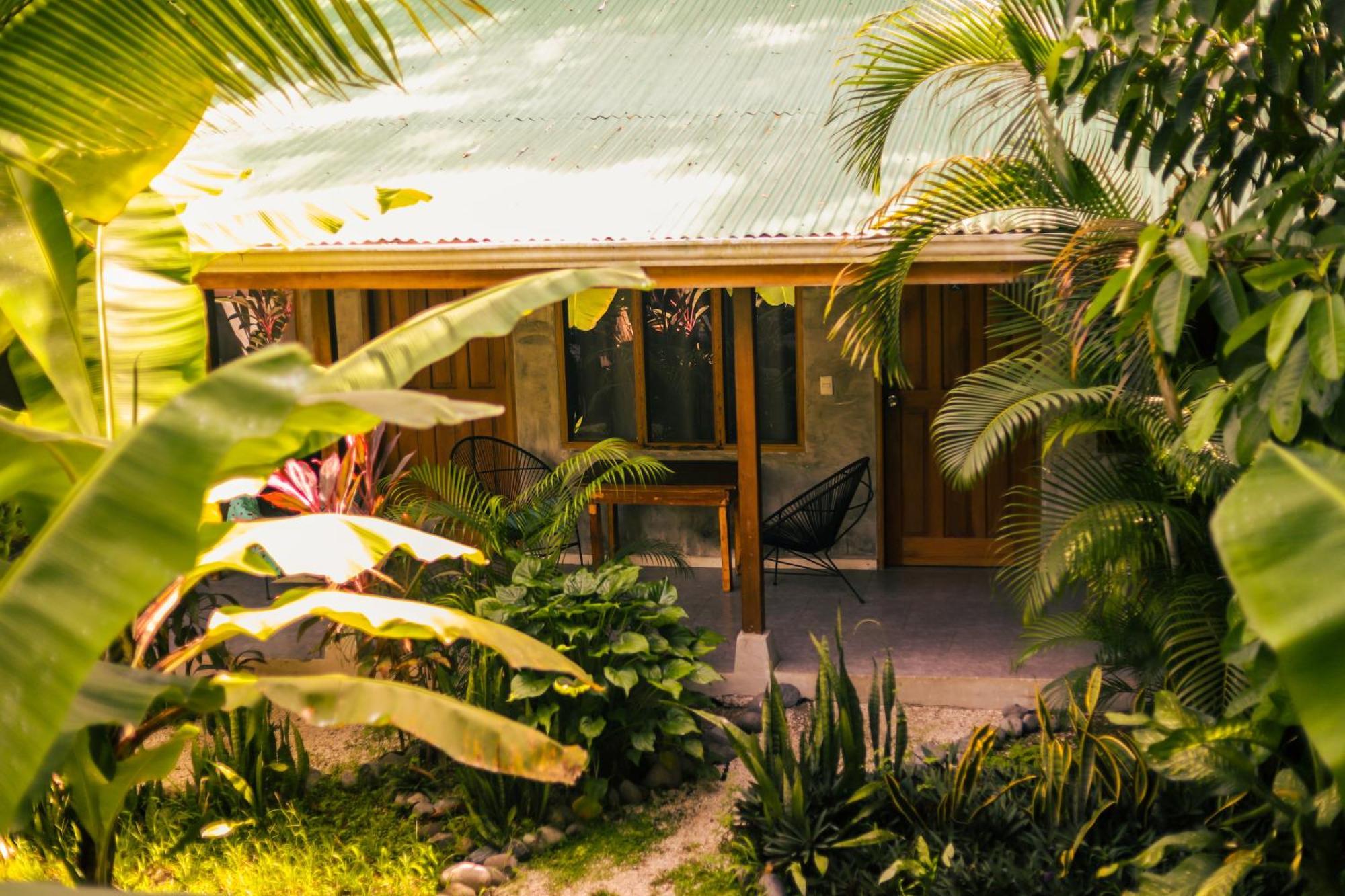 Cabinas Playa Surf Hostel Playa Santa Teresa  Extérieur photo