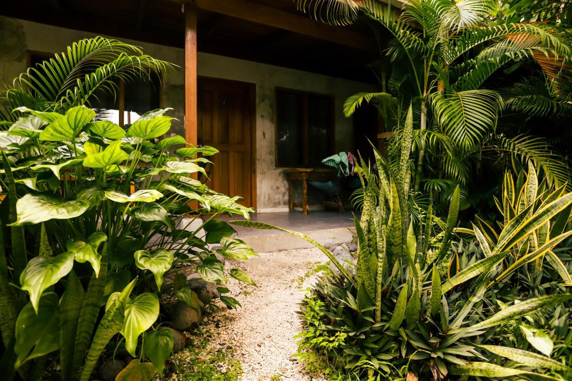 Cabinas Playa Surf Hostel Playa Santa Teresa  Extérieur photo