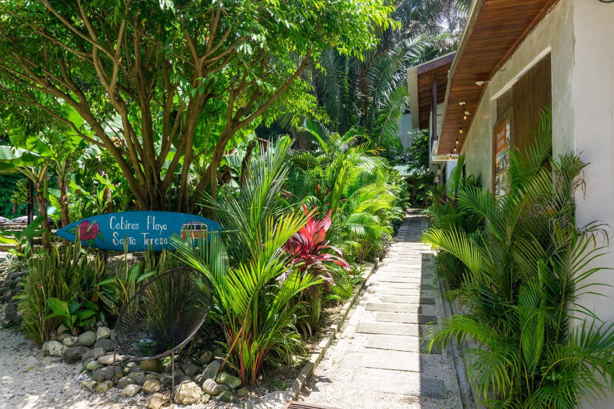Cabinas Playa Surf Hostel Playa Santa Teresa  Extérieur photo